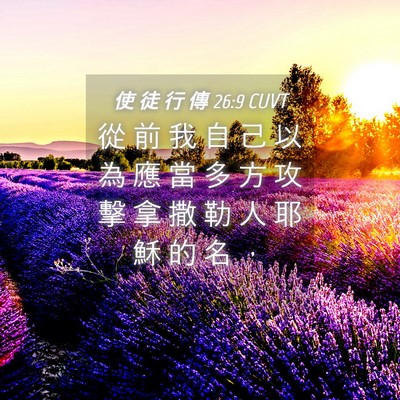 Picture 04 - 使 徒 行 傳 26:9 CUVT - 從 前 我 自 己 以 為 應 當 多 方 攻 - Bible Verse Picture