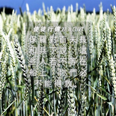 Picture 04 - 使 徒 行 傳 27:31 CUVT - 保 羅 對 百 夫 長 和 兵 丁 說 ： 這 - Bible Verse Picture