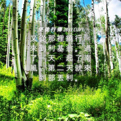 Picture 04 - 使 徒 行 傳 28:13 CUVT - 又 從 那 裡 繞 行 ， 來 到 利 基 翁 - Bible Verse Picture