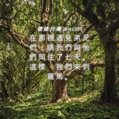 Picture 04 - 使 徒 行 傳 28:14 CUVT - 在 那 裡 遇 見 弟 兄 們 ， 請 我 們 - Bible Verse Picture