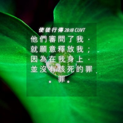 Picture 04 - 使 徒 行 傳 28:18 CUVT - 他 們 審 問 了 我 ， 就 願 意 釋 放 - Bible Verse Picture