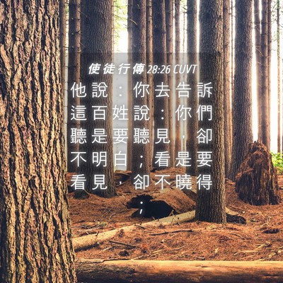 Picture 04 - 使 徒 行 傳 28:26 CUVT - 他 說 ： 你 去 告 訴 這 百 姓 說 ： - Bible Verse Picture
