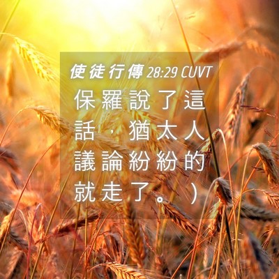 Picture 04 - 使 徒 行 傳 28:29 CUVT - 保 羅 說 了 這 話 ， 猶 太 人 議 論 - Bible Verse Picture