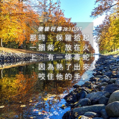 Picture 04 - 使 徒 行 傳 28:3 CUVT - 那 時 ， 保 羅 拾 起 一 捆 柴 ， 放 - Bible Verse Picture