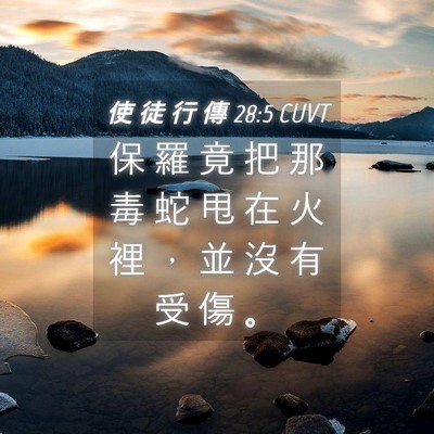 Picture 04 - 使 徒 行 傳 28:5 CUVT - 保 羅 竟 把 那 毒 蛇 甩 在 火 裡 ， - Bible Verse Picture