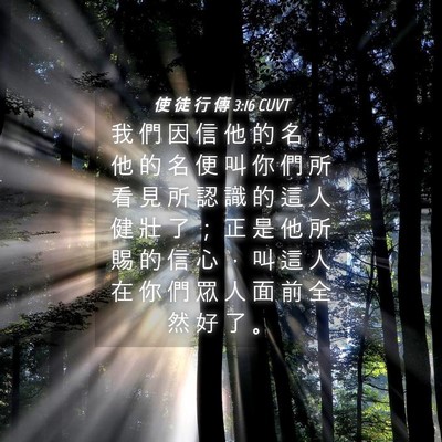 Picture 04 - 使 徒 行 傳 3:16 CUVT - 我 們 因 信 他 的 名 ， 他 的 名 便 - Bible Verse Picture