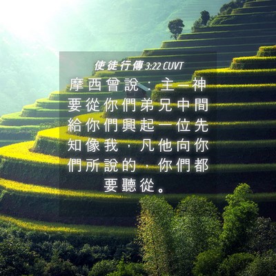 Picture 04 - 使 徒 行 傳 3:22 CUVT - 摩 西 曾 說 ： 主 ─ 神 要 從 你 們 - Bible Verse Picture