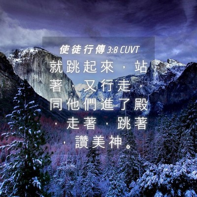 Picture 04 - 使 徒 行 傳 3:8 CUVT - 就 跳 起 來 ， 站 著 ， 又 行 走 ， - Bible Verse Picture
