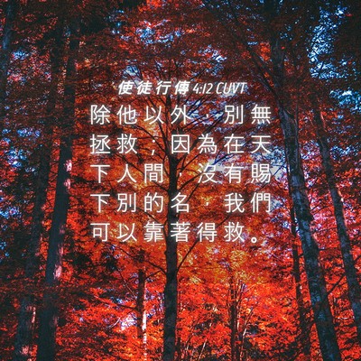 Picture 04 - 使 徒 行 傳 4:12 CUVT - 除 他 以 外 ， 別 無 拯 救 ； 因 為 - Bible Verse Picture