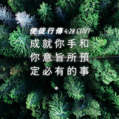 Picture 04 - 使 徒 行 傳 4:28 CUVT - 成 就 你 手 和 你 意 旨 所 預 定 必 - Bible Verse Picture