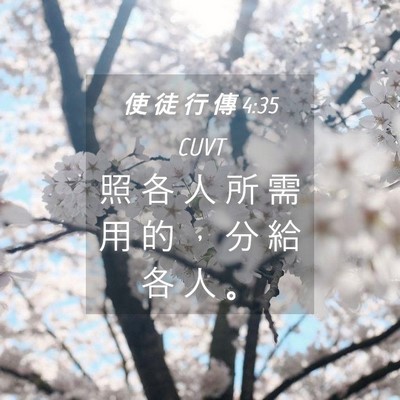 Picture 04 - 使 徒 行 傳 4:35 CUVT - 照 各 人 所 需 用 的 ， 分 給 各 人 - Bible Verse Picture