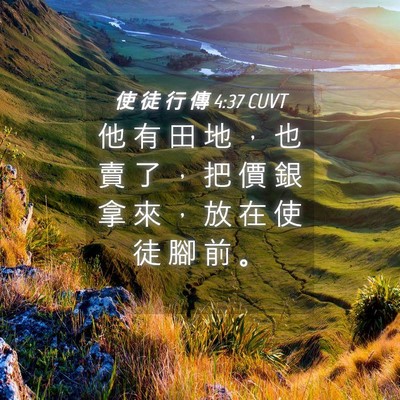 Picture 04 - 使 徒 行 傳 4:37 CUVT - 他 有 田 地 ， 也 賣 了 ， 把 價 銀 - Bible Verse Picture