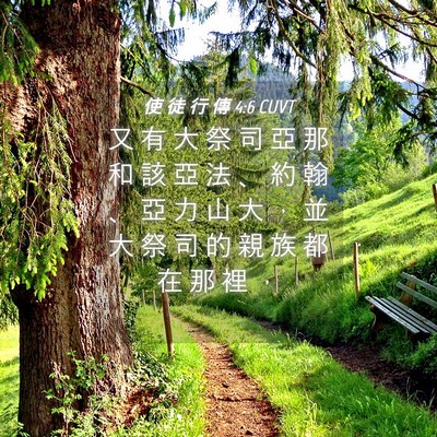 Picture 04 - 使 徒 行 傳 4:6 CUVT - 又 有 大 祭 司 亞 那 和 該 亞 法 、 - Bible Verse Picture
