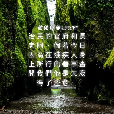 Picture 04 - 使 徒 行 傳 4:9 CUVT - 治 民 的 官 府 和 長 老 阿 ， 倘 若 - Bible Verse Picture
