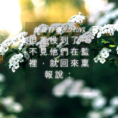 Picture 04 - 使 徒 行 傳 5:22 CUVT - 但 差 役 到 了 ， 不 見 他 們 在 監 - Bible Verse Picture