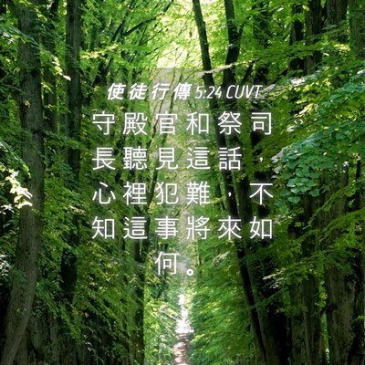 Picture 04 - 使 徒 行 傳 5:24 CUVT - 守 殿 官 和 祭 司 長 聽 見 這 話 ， - Bible Verse Picture