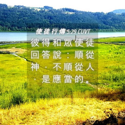 Picture 04 - 使 徒 行 傳 5:29 CUVT - 彼 得 和 眾 使 徒 回 答 說 ： 順 從 - Bible Verse Picture