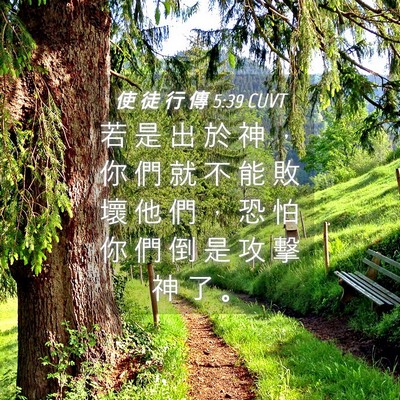 Picture 04 - 使 徒 行 傳 5:39 CUVT - 若 是 出 於 神 ， 你 們 就 不 能 敗 - Bible Verse Picture