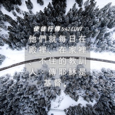 Picture 04 - 使 徒 行 傳 5:42 CUVT - 他 們 就 每 日 在 殿 裡 、 在 家 裡 - Bible Verse Picture
