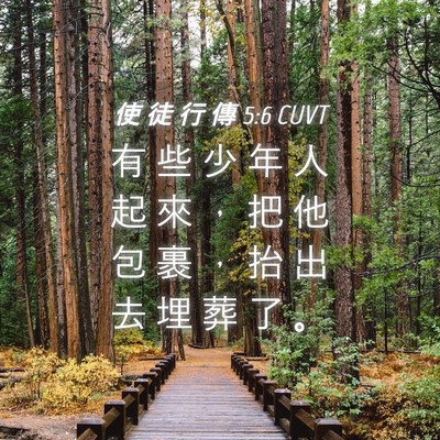 Picture 04 - 使 徒 行 傳 5:6 CUVT - 有 些 少 年 人 起 來 ， 把 他 包 裹 - Bible Verse Picture