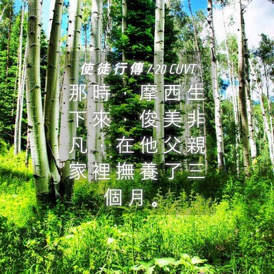 Picture 04 - 使 徒 行 傳 7:20 CUVT - 那 時 ， 摩 西 生 下 來 ， 俊 美 非 - Bible Verse Picture