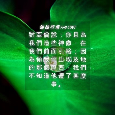 Picture 04 - 使 徒 行 傳 7:40 CUVT - 對 亞 倫 說 ： 你 且 為 我 們 造 些 - Bible Verse Picture