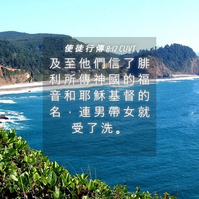 Picture 04 - 使 徒 行 傳 8:12 CUVT - 及 至 他 們 信 了 腓 利 所 傳 神 國 - Bible Verse Picture