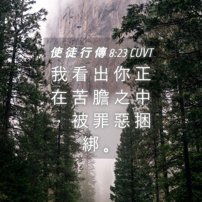 Picture 04 - 使 徒 行 傳 8:23 CUVT - 我 看 出 你 正 在 苦 膽 之 中 ， 被 - Bible Verse Picture