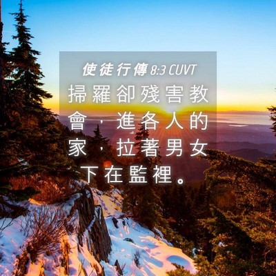 Picture 04 - 使 徒 行 傳 8:3 CUVT - 掃 羅 卻 殘 害 教 會 ， 進 各 人 的 - Bible Verse Picture