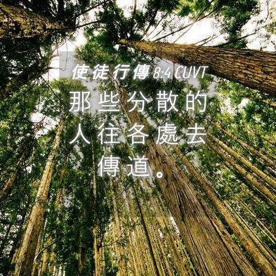 Picture 04 - 使 徒 行 傳 8:4 CUVT - 那 些 分 散 的 人 往 各 處 去 傳 道 - Bible Verse Picture