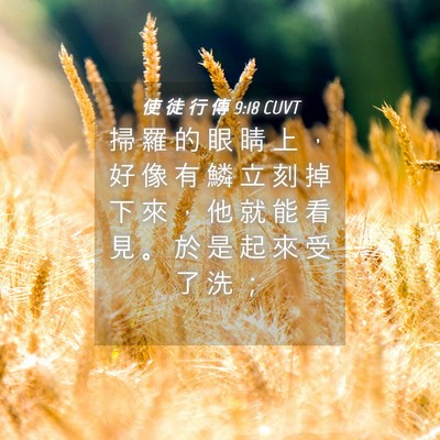 Picture 04 - 使 徒 行 傳 9:18 CUVT - 掃 羅 的 眼 睛 上 ， 好 像 有 鱗 立 - Bible Verse Picture