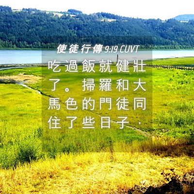Picture 04 - 使 徒 行 傳 9:19 CUVT - 吃 過 飯 就 健 壯 了 。 掃 羅 和 大 - Bible Verse Picture