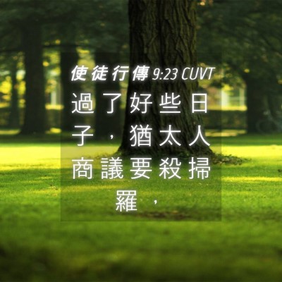 Picture 04 - 使 徒 行 傳 9:23 CUVT - 過 了 好 些 日 子 ， 猶 太 人 商 議 - Bible Verse Picture