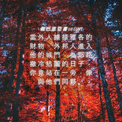 Picture 04 - 俄 巴 底 亞 書 1:11 CUVT - 當 外 人 擄 掠 雅 各 的 財 物 ， 外 - Bible Verse Picture