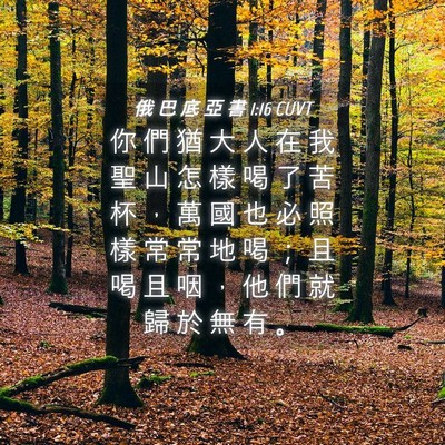 Picture 04 - 俄 巴 底 亞 書 1:16 CUVT - 你 們 猶 大 人 在 我 聖 山 怎 樣 喝 - Bible Verse Picture