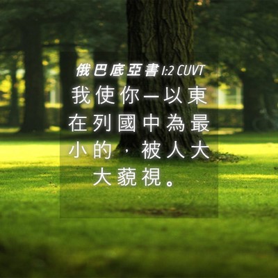 Picture 04 - 俄 巴 底 亞 書 1:2 CUVT - 我 使 你 ─ 以 東 在 列 國 中 為 最 - Bible Verse Picture