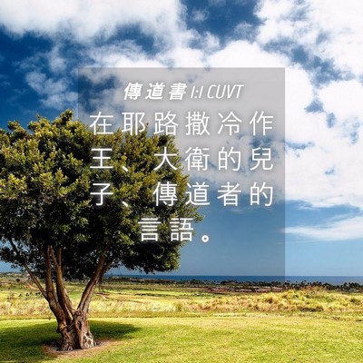 Picture 04 - 傳 道 書 1:1 CUVT - 在 耶 路 撒 冷 作 王 、 大 衛 的 兒 - Bible Verse Picture