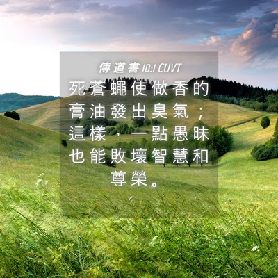 Picture 04 - 傳 道 書 10:1 CUVT - 死 蒼 蠅 使 做 香 的 膏 油 發 出 臭 - Bible Verse Picture
