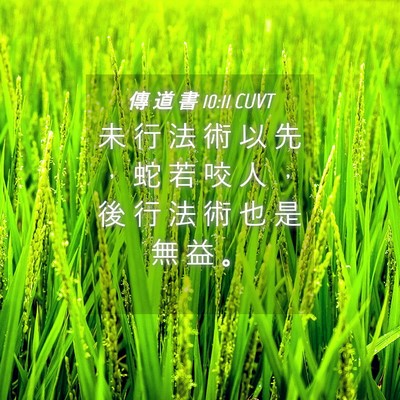 Picture 04 - 傳 道 書 10:11 CUVT - 未 行 法 術 以 先 ， 蛇 若 咬 人 ， - Bible Verse Picture
