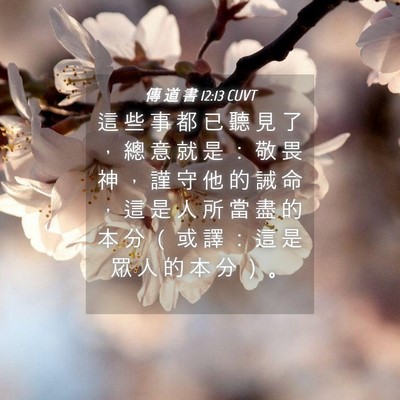 Picture 04 - 傳 道 書 12:13 CUVT - 這 些 事 都 已 聽 見 了 ， 總 意 就 - Bible Verse Picture