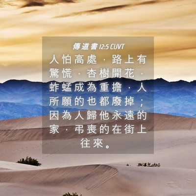 Picture 04 - 傳 道 書 12:5 CUVT - 人 怕 高 處 ， 路 上 有 驚 慌 ， 杏 - Bible Verse Picture