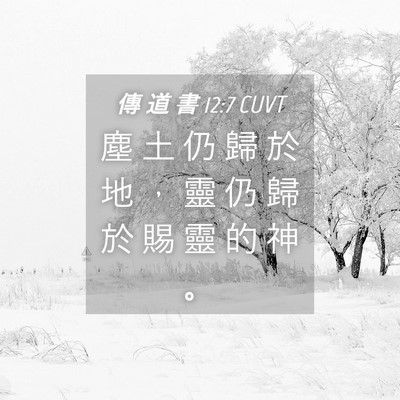 Picture 04 - 傳 道 書 12:7 CUVT - 塵 土 仍 歸 於 地 ， 靈 仍 歸 於 賜 - Bible Verse Picture