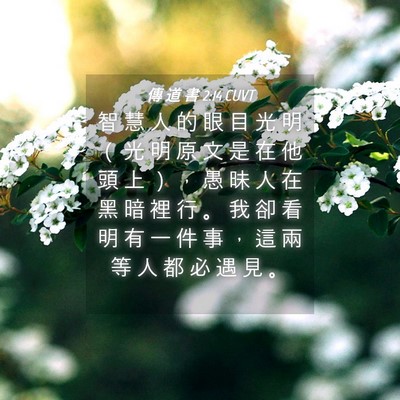 Picture 04 - 傳 道 書 2:14 CUVT - 智 慧 人 的 眼 目 光 明 （ 光 明 原 - Bible Verse Picture