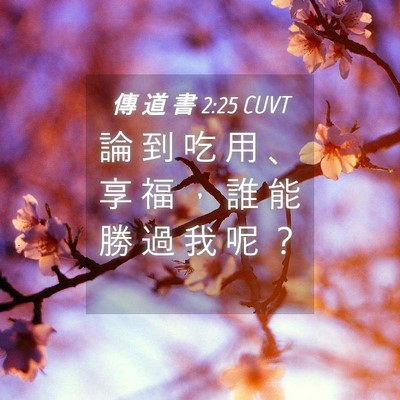 Picture 04 - 傳 道 書 2:25 CUVT - 論 到 吃 用 、 享 福 ， 誰 能 勝 過 - Bible Verse Picture