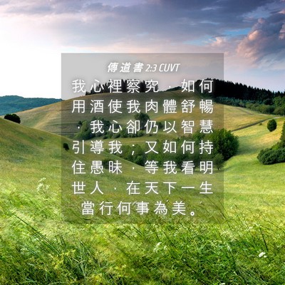 Picture 04 - 傳 道 書 2:3 CUVT - 我 心 裡 察 究 ， 如 何 用 酒 使 我 - Bible Verse Picture