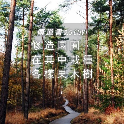 Picture 04 - 傳 道 書 2:5 CUVT - 修 造 園 囿 ， 在 其 中 栽 種 各 樣 - Bible Verse Picture
