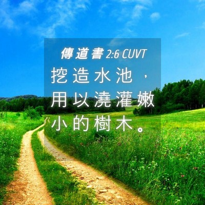 Picture 04 - 傳 道 書 2:6 CUVT - 挖 造 水 池 ， 用 以 澆 灌 嫩 小 的 - Bible Verse Picture