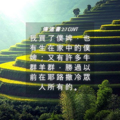 Picture 04 - 傳 道 書 2:7 CUVT - 我 買 了 僕 婢 ， 也 有 生 在 家 中 - Bible Verse Picture
