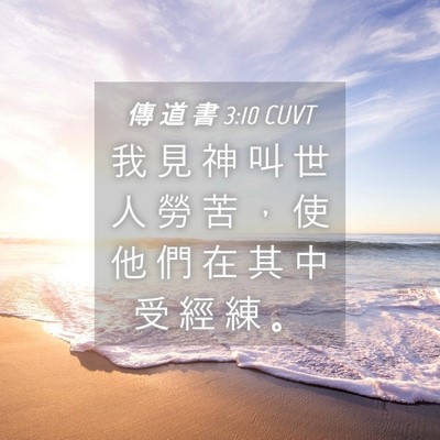 Picture 04 - 傳 道 書 3:10 CUVT - 我 見 神 叫 世 人 勞 苦 ， 使 他 們 - Bible Verse Picture