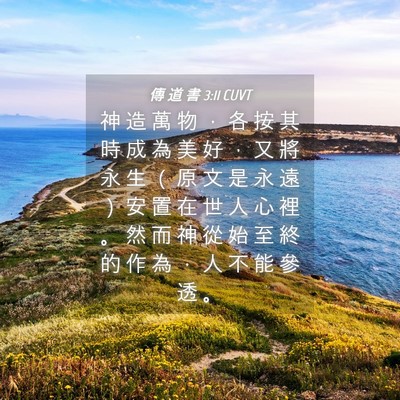 Picture 04 - 傳 道 書 3:11 CUVT - 神 造 萬 物 ， 各 按 其 時 成 為 美 - Bible Verse Picture